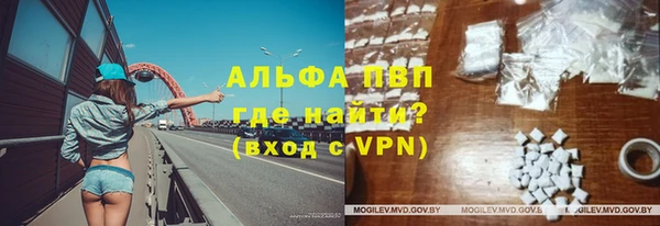apvp Алзамай