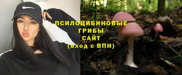 хмурый Алексеевка