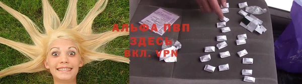 apvp Алзамай