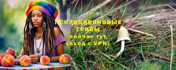 марки lsd Алексин