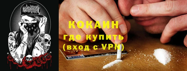 apvp Алзамай