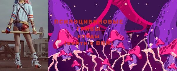 хмурый Алексеевка
